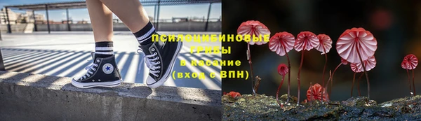 PSILOCYBIN Алексеевка