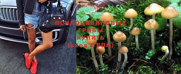 apvp Дмитров