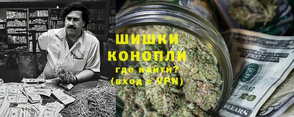 ПСИЛОЦИБИНОВЫЕ ГРИБЫ Алзамай