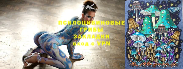 ПСИЛОЦИБИНОВЫЕ ГРИБЫ Алзамай