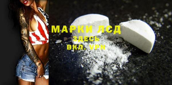 ГАЛЛЮЦИНОГЕННЫЕ ГРИБЫ Алексин