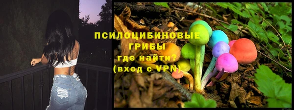 ПСИЛОЦИБИНОВЫЕ ГРИБЫ Алзамай