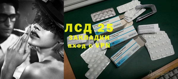 ГАЛЛЮЦИНОГЕННЫЕ ГРИБЫ Алексин